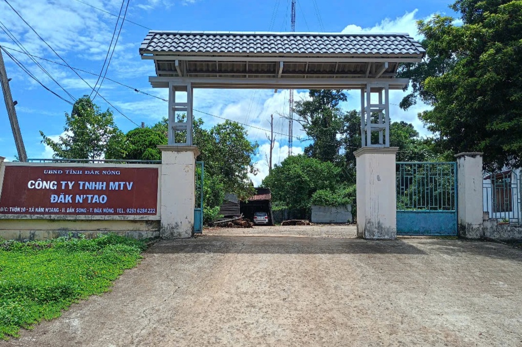 Phó giám đốc công ty lâm nghiệp ở Đắk Nông bị lâm tặc đánh trọng thương - 1 Phó giám đốc công ty lâm nghiệp ở Đắk Nông bị lâm tặc đánh trọng thương - 1