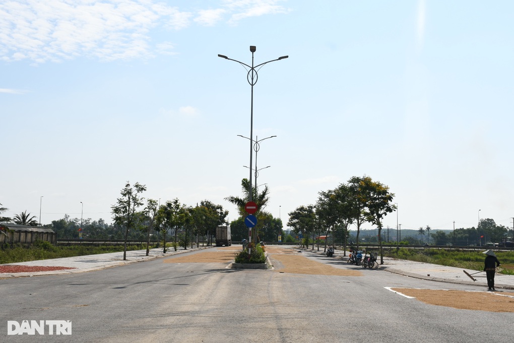 Đường 34 tỷ đồng vô dụng, thành chỗ phơi lúa - 2 Đường 34 tỷ đồng vô dụng, thành chỗ phơi lúa - 2