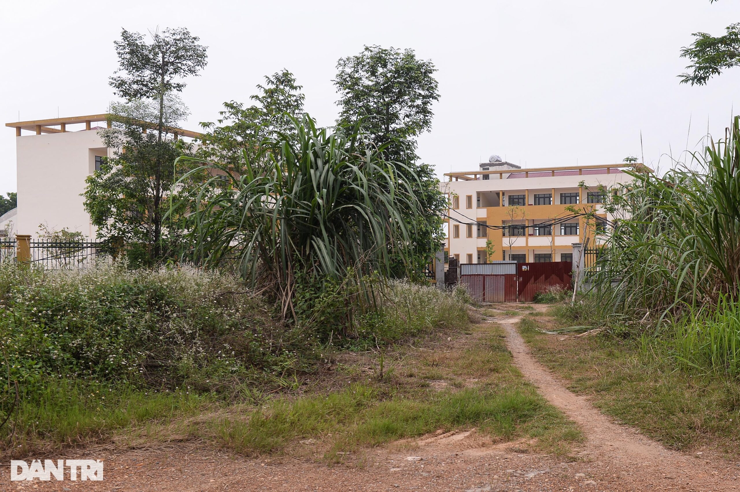 Hai trường học được xây dựng khang trang bị bỏ hoang gây lãng phí ở Hà Nội - 3
