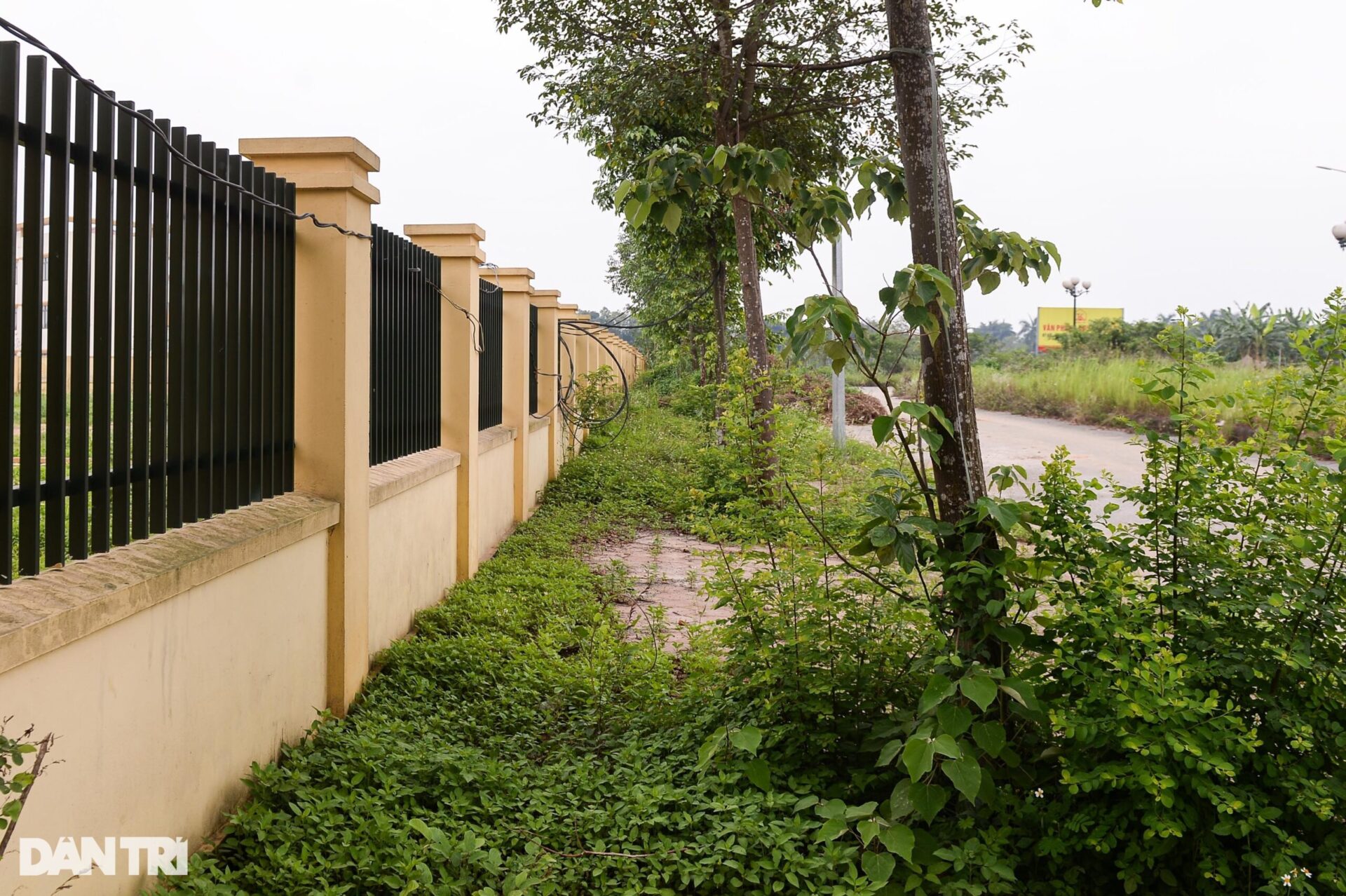 Hai trường học được xây dựng khang trang bị bỏ hoang gây lãng phí ở Hà Nội - 15